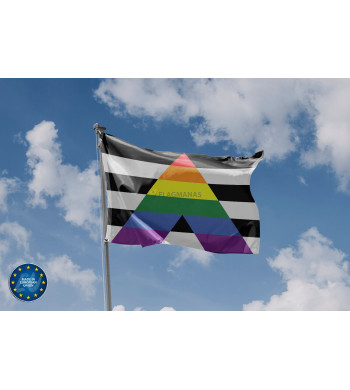 LGBT Ally vėliava