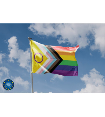 Progresyvioji LGBT vėliava II