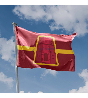 Vilniaus gimtadienio vėliava