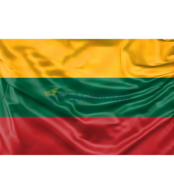 Lietuvos vėliava su dėžute