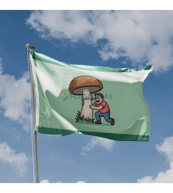 Grybautojų vėliava II