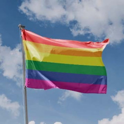 LGBTQ+ vėliavos